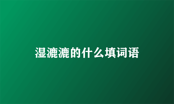 湿漉漉的什么填词语