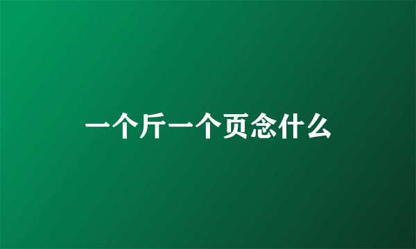 一个斤一个页念什么