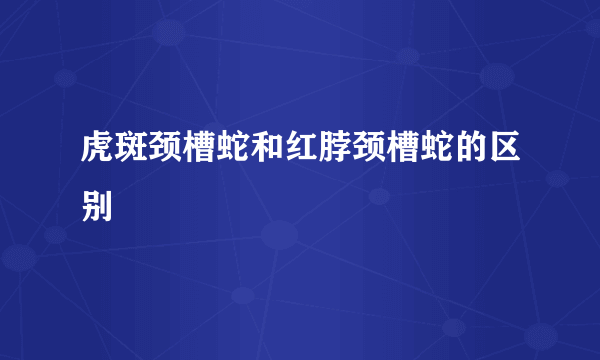 虎斑颈槽蛇和红脖颈槽蛇的区别