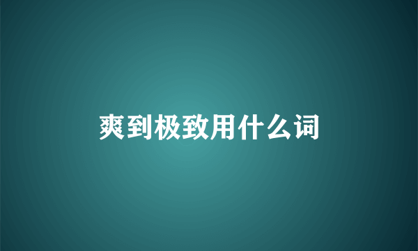 爽到极致用什么词