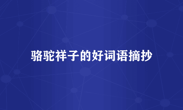骆驼祥子的好词语摘抄