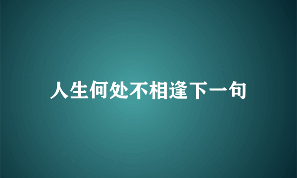 人生何处不相逢下一句