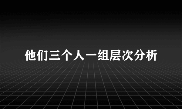 他们三个人一组层次分析