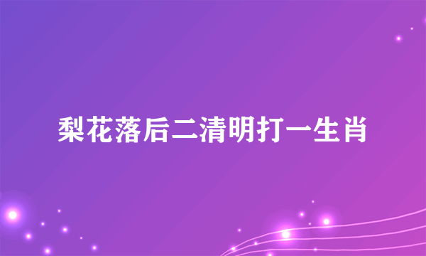 梨花落后二清明打一生肖
