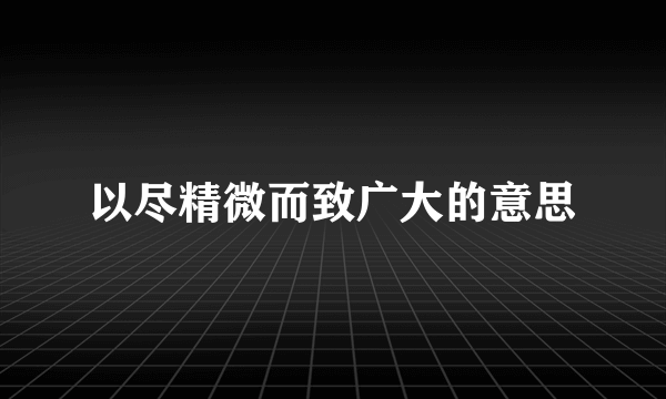 以尽精微而致广大的意思