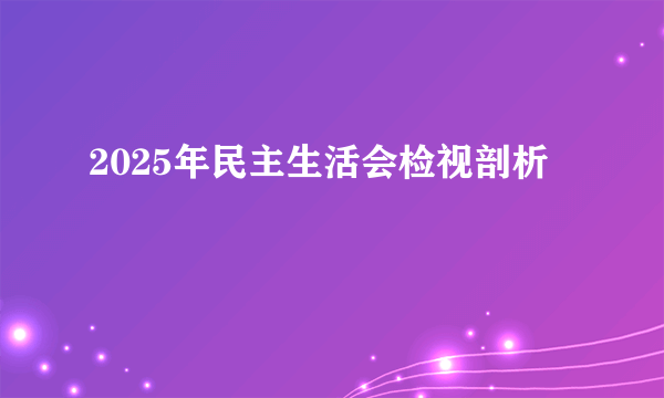 2025年民主生活会检视剖析