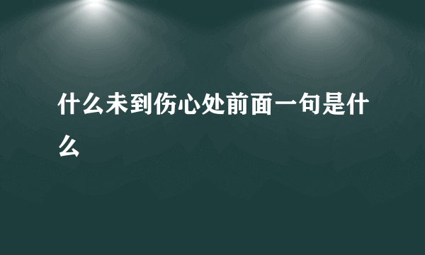 什么未到伤心处前面一句是什么