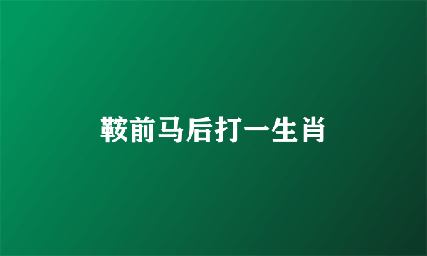 鞍前马后打一生肖