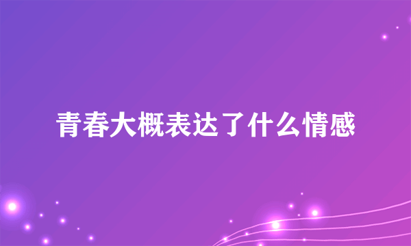 青春大概表达了什么情感