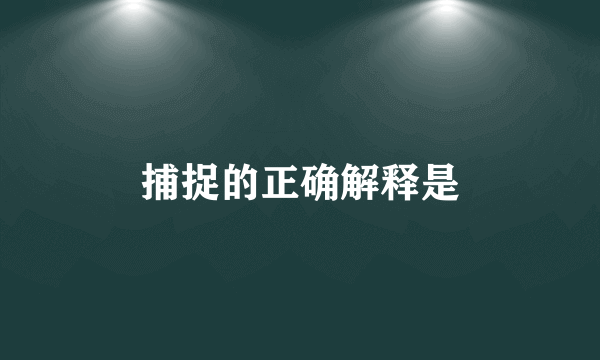 捕捉的正确解释是
