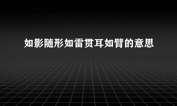 如影随形如雷贯耳如臂的意思
