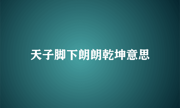 天子脚下朗朗乾坤意思
