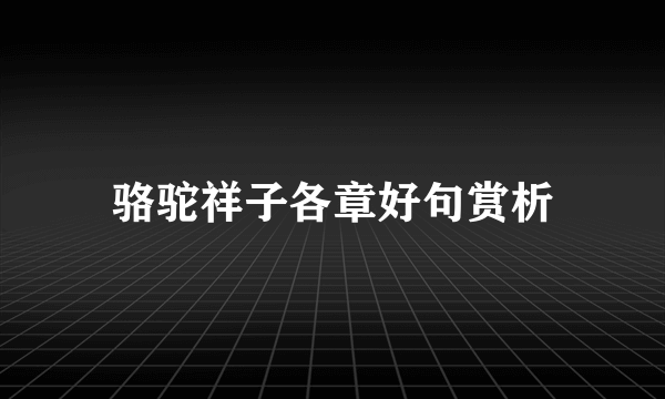 骆驼祥子各章好句赏析