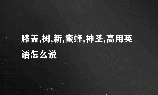 膝盖,树,新,蜜蜂,神圣,高用英语怎么说