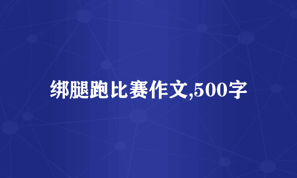 绑腿跑比赛作文,500字