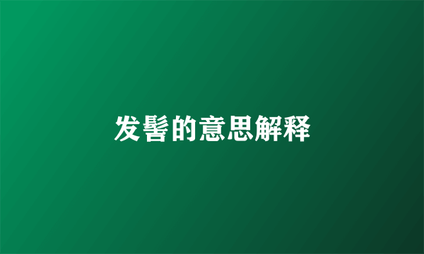 发髻的意思解释