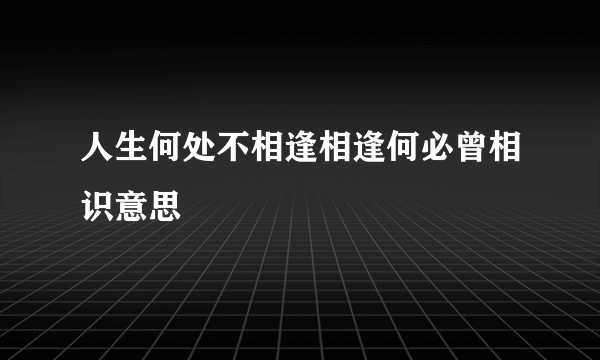 人生何处不相逢相逢何必曾相识意思