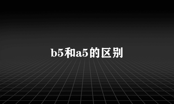 b5和a5的区别