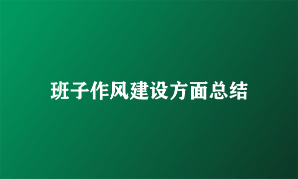 班子作风建设方面总结