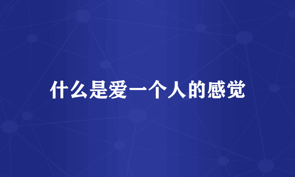什么是爱一个人的感觉