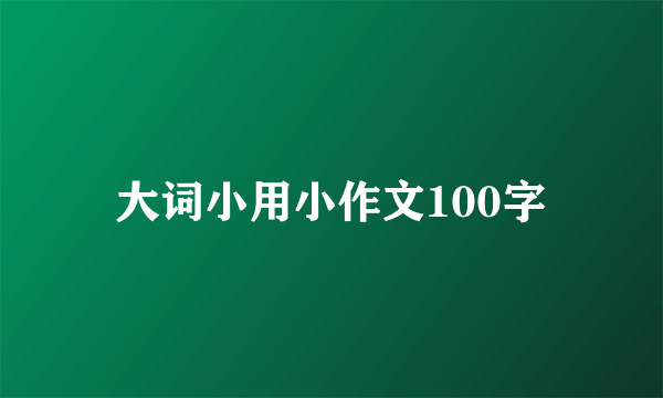 大词小用小作文100字