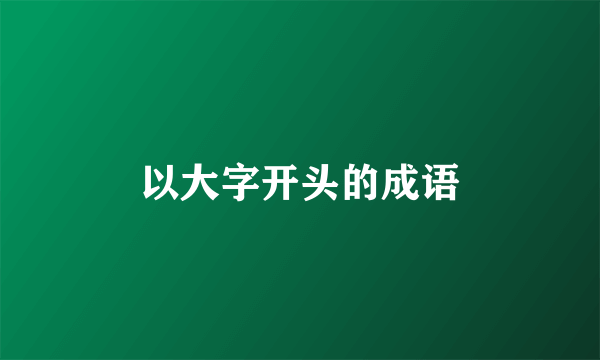 以大字开头的成语