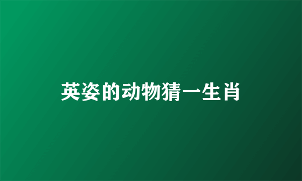 英姿的动物猜一生肖