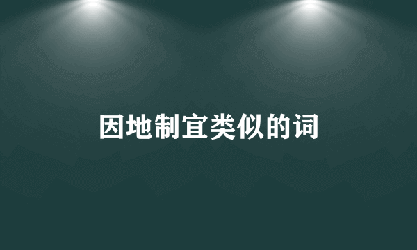 因地制宜类似的词