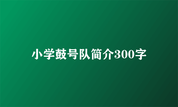 小学鼓号队简介300字