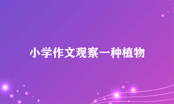 小学作文观察一种植物