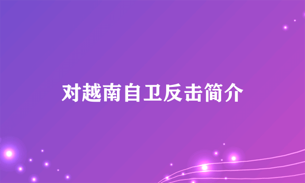 对越南自卫反击简介