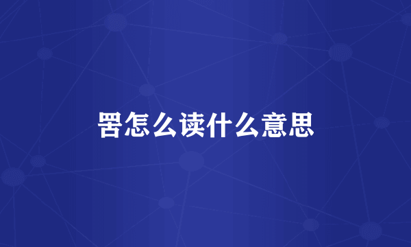 罟怎么读什么意思