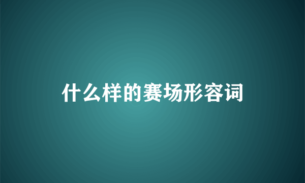 什么样的赛场形容词