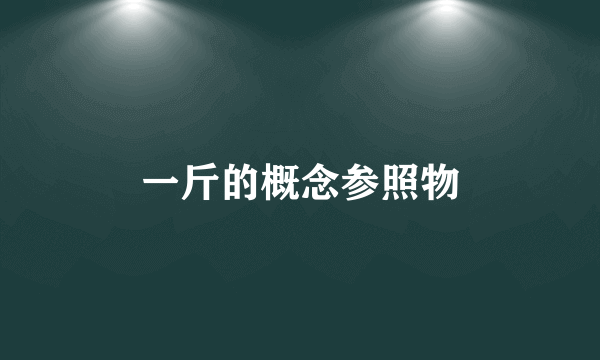 一斤的概念参照物