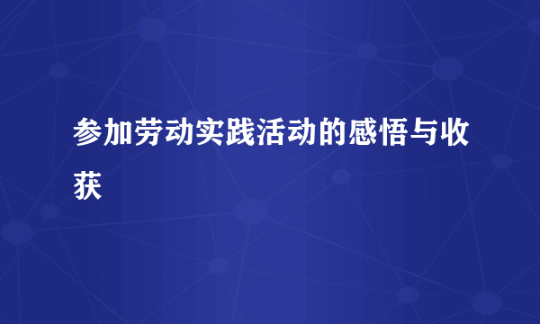 参加劳动实践活动的感悟与收获
