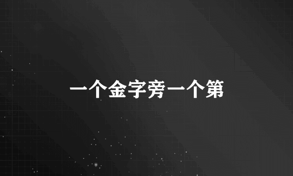 一个金字旁一个第