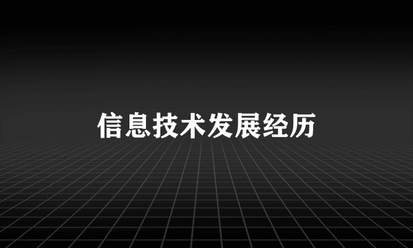 信息技术发展经历