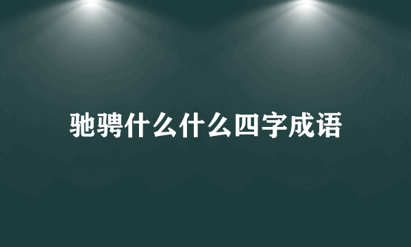驰骋什么什么四字成语