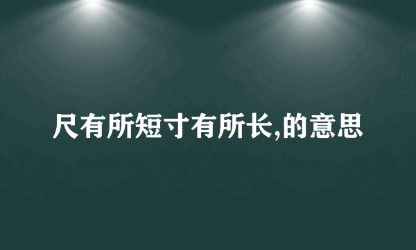 尺有所短寸有所长,的意思