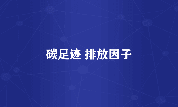碳足迹 排放因子