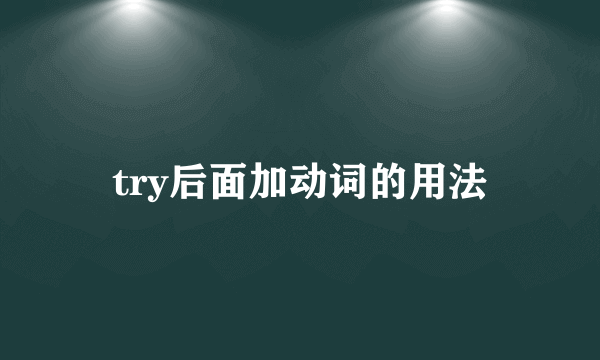 try后面加动词的用法