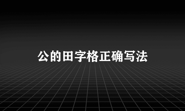 公的田字格正确写法