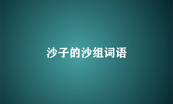 沙子的沙组词语