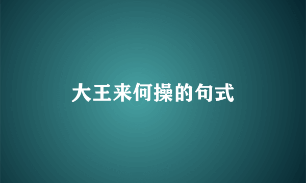 大王来何操的句式