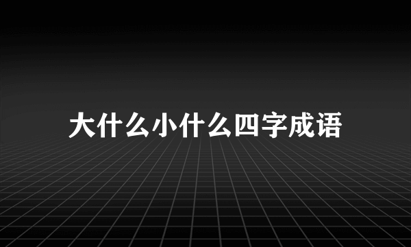 大什么小什么四字成语