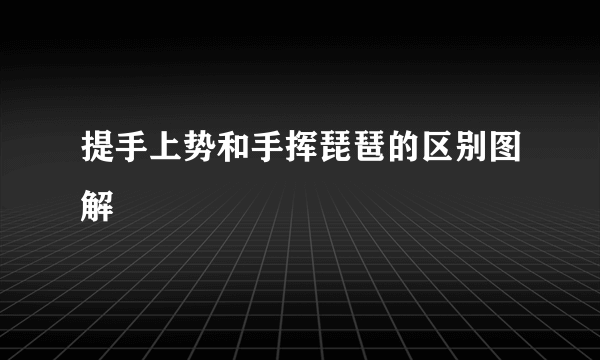 提手上势和手挥琵琶的区别图解