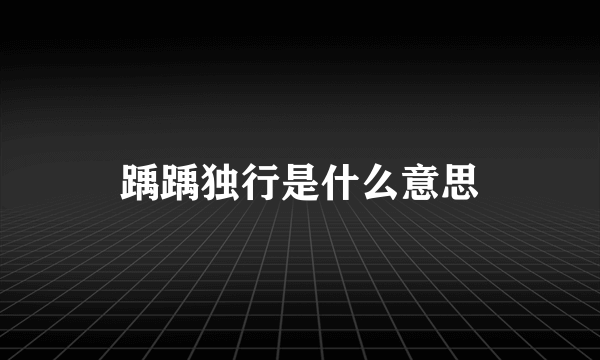 踽踽独行是什么意思