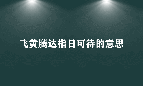 飞黄腾达指日可待的意思