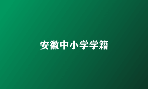 安徽中小学学籍