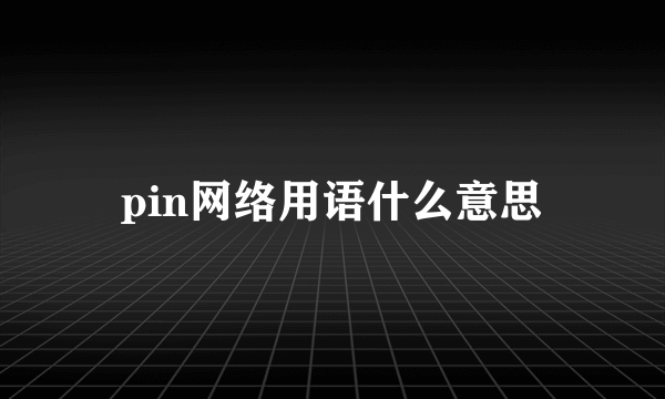 pin网络用语什么意思